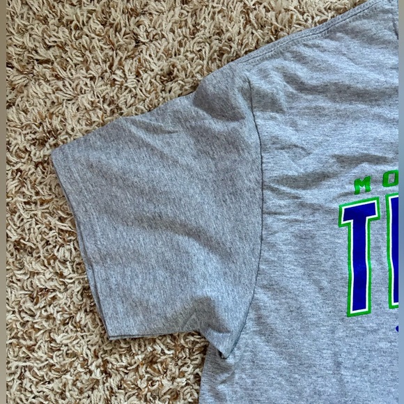 Men Fruit Of The Loom Gray Mountain View Thunder T-Shirt Size M - Picture 2 of 10